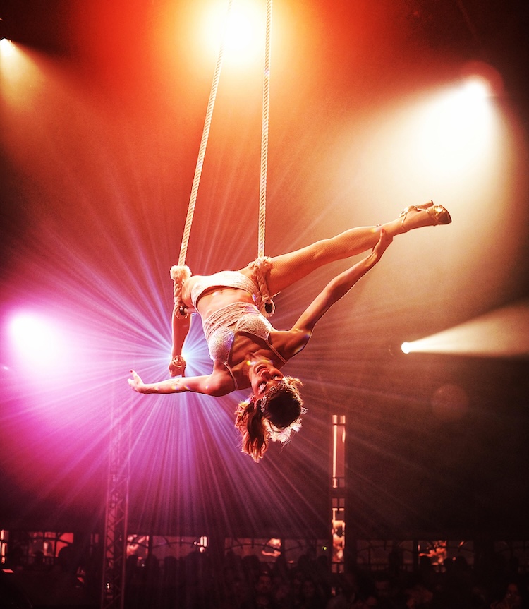 Circus Show Hire